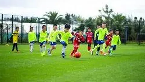 博业体育 资讯 085838 d2y