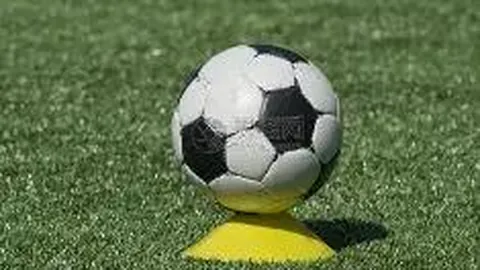 博业体育 产品 083853 ggc