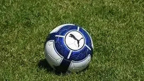 《绿意盎然小屋探秘》体验记：萌鼠的温馨家园探险之旅